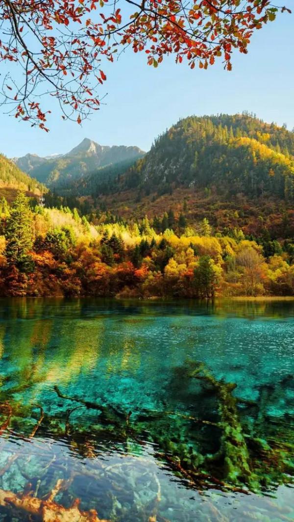 成年人玩得這麼野，小心把命都玩丟了