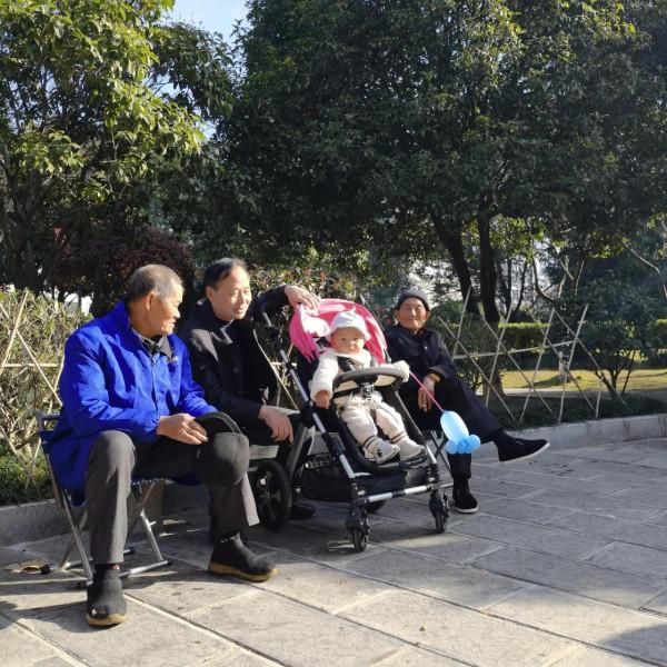 歡樂的紫舞公園