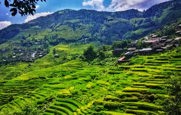 建國初期,廣西、廣東兩省匪患猖獗,陳明仁率兵將其逐個擊破 建國初期,廣西、廣東兩省匪患猖獗,陳明仁率兵將其逐個擊破