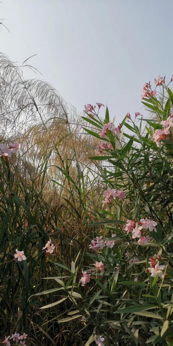 有些人有些事,是天意還是巧合? 有些人有些事,是天意還是巧合?