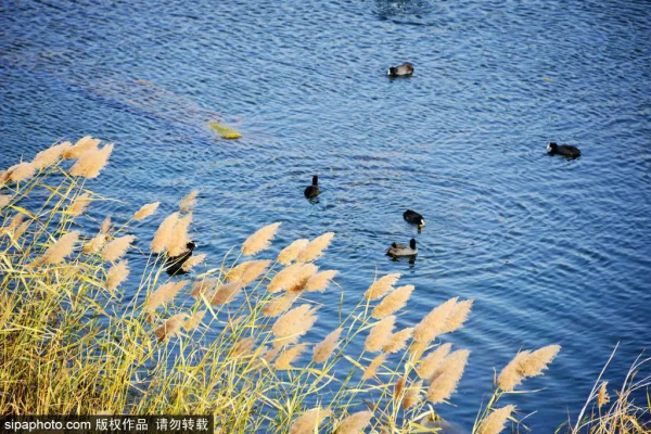 救急！還沒安排小長假？這份指南告訴你京城那些人間值得的自然風光！