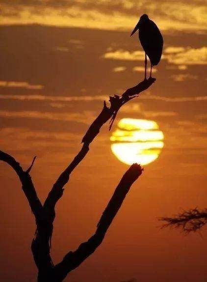 十首絕美元曲，讀一遍就愛上了