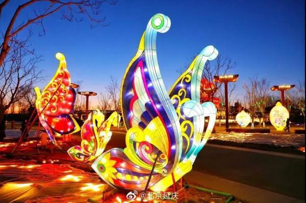 元旦去哪玩？賞花燈、看錶演、戲冰雪……