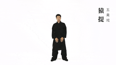 千古秘傳的五禽戲之猿戲,練好了相當於有了健康長壽的仙丹 千古秘傳的五禽戲之猿戲,練好了相當於有了健康長壽的仙丹