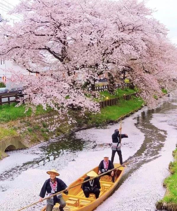 25張圖片看奇妙世界,青花陶瓷服裝,日本透明廁所 25張圖片看奇妙世界,青花陶瓷服裝,日本透明廁所