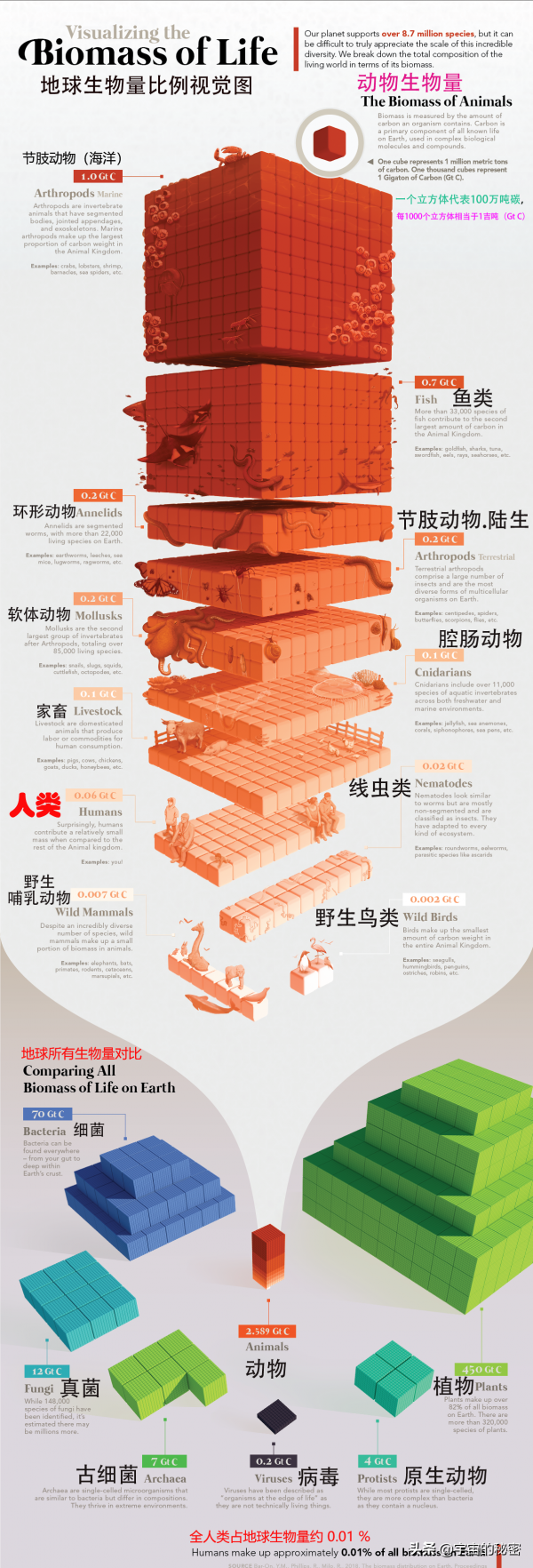 78億人類僅佔地球生命的萬分之一?所有物種佔比這張圖一目瞭然 78億人類僅佔地球生命的萬分之一?所有物種佔比這張圖一目瞭然