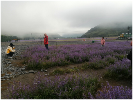 西藏之旅自駕遊日記(續篇) 西藏之旅自駕遊日記(續篇)