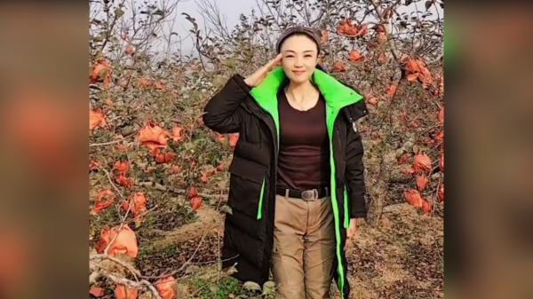 君妹:農村姑娘退伍回老家創業,承包300畝果園一夜爆紅網路 君妹:農村姑娘退伍回老家創業,承包300畝果園一夜爆紅網路