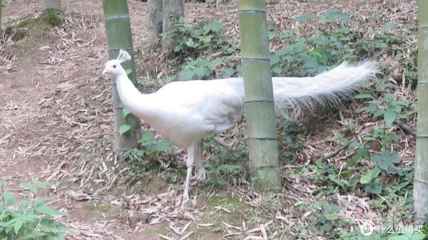 人生只合住湖州!景美,好吃,消費低!記3天2晚慢生活之旅 人生只合住湖州!景美,好吃,消費低!記3天2晚慢生活之旅