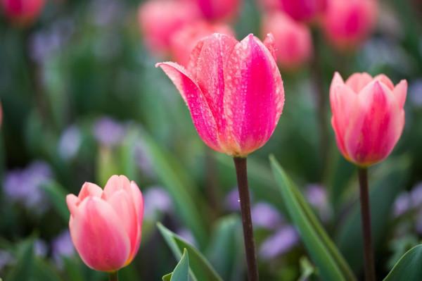 淡淡人生，需開啟靜音模式