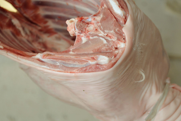 老年人下肢無力?可能是由於幾大因素導致的,教你如何應對 老年人下肢無力?可能是由於幾大因素導致的,教你如何應對