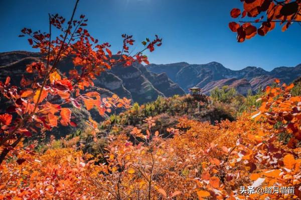 如果沒有疫情，此刻我勸你一定要去一趟北京...