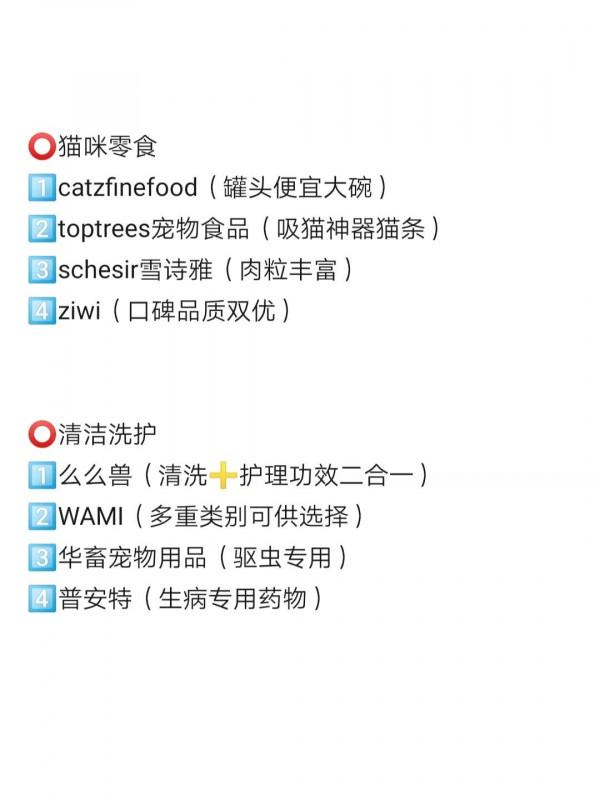 2021年雙十一養貓 2021年雙十一養貓