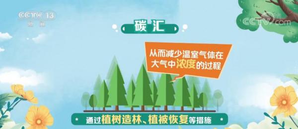 「共赴春城之約」科普 | 碳匯：用生態手段減少溫室氣體濃度