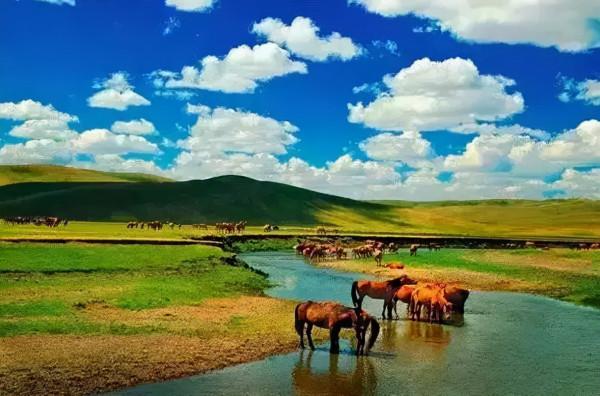 未來2個月,這些地方將美成天堂!再一場旅行,2021才完美 未來2個月,這些地方將美成天堂!再一場旅行,2021才完美