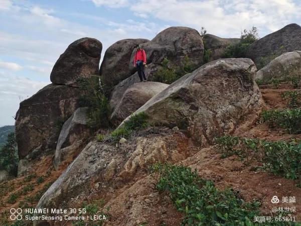 朋友圈2021年第31期