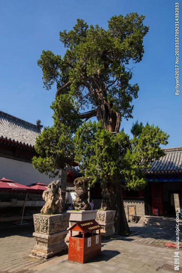 周令飛,周海嬰的兒子,魯迅的孫子,盤點一下那些名人之後 周令飛,周海嬰的兒子,魯迅的孫子,盤點一下那些名人之後