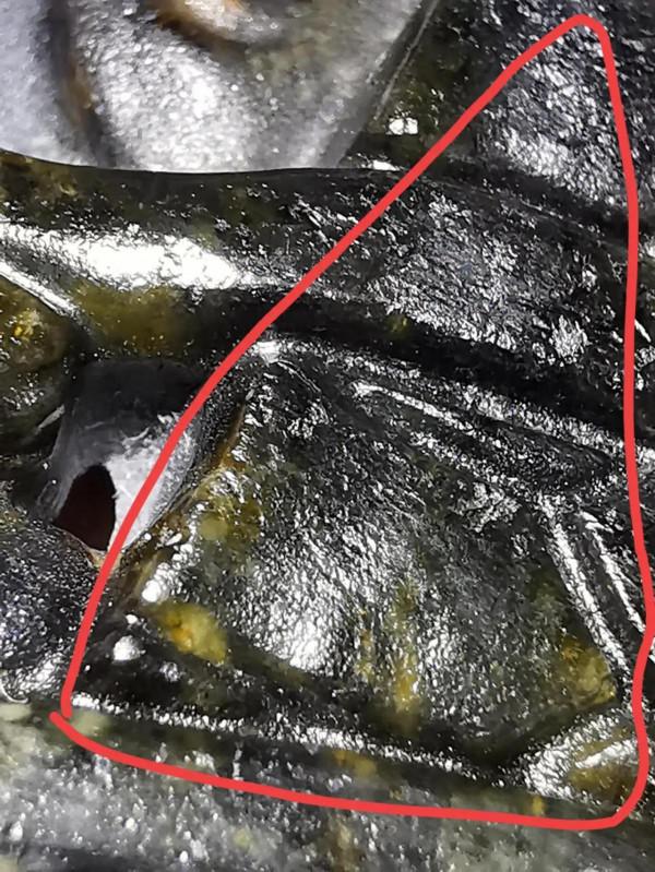 白玉五彩沁絞絲三龍佩皮殼所表現的無法可仿本質特徵,跟仿品比較 白玉五彩沁絞絲三龍佩皮殼所表現的無法可仿本質特徵,跟仿品比較