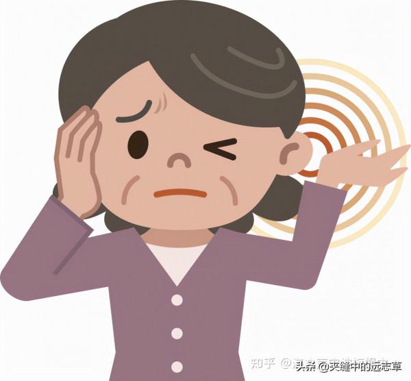 耳鳴、耳聾、眼花？送你八味中藥，一路升清，一路降濁，還補脾氣