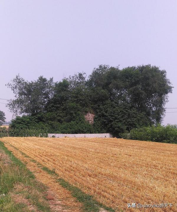 兩千年前劉邦登基稱帝的地方，會是現在山東定陶的這處土堌堆嗎？