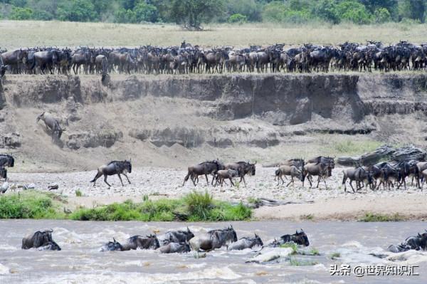 坦尚尼亞，曾經的貿易中心，27個有趣的事實帶你深入瞭解這個國家