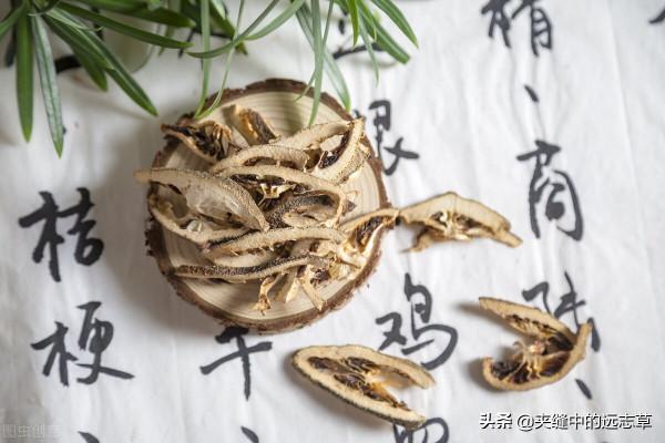 鬱鬱寡歡？分享五味中藥，善解六鬱，送給正在糟心的你