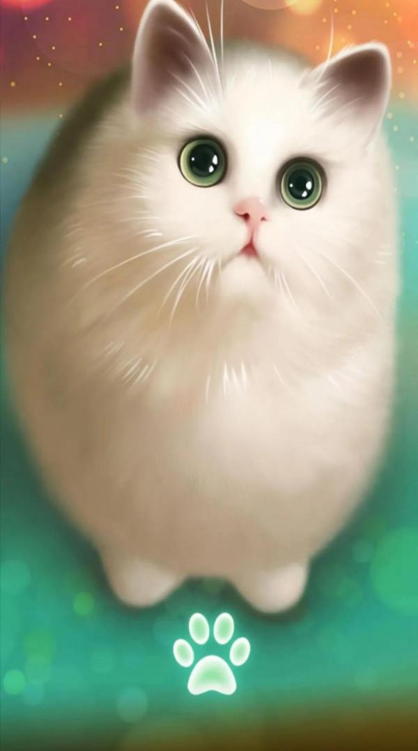 唯美 治癒 可愛 手繪小動物 美人‖桌布