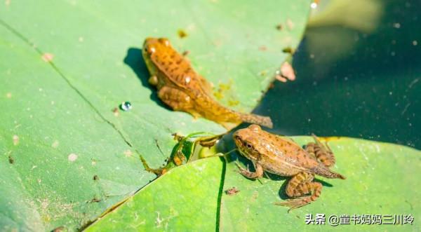 別人家的自然達人爸爸,光看照片都養眼啊 別人家的自然達人爸爸,光看照片都養眼啊