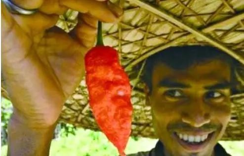 能吃還能炸的手榴彈，真的存在嗎？神劇這次不騙人，印度造出來了