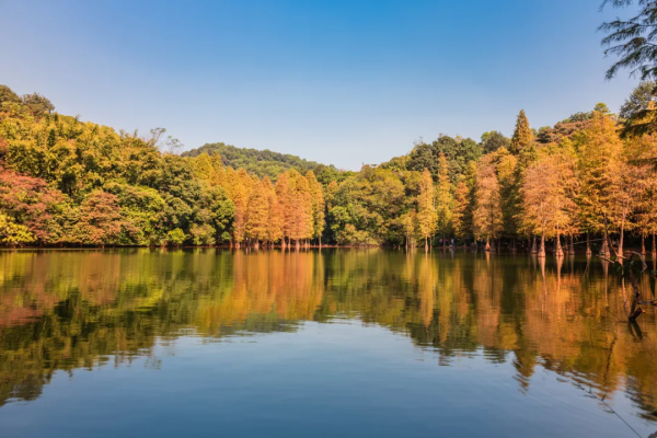 每到秋天,廣東的一些地方就變成了夢幻的童話 每到秋天,廣東的一些地方就變成了夢幻的童話
