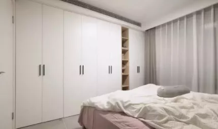 衣櫃常見的蟲子叫什麼？