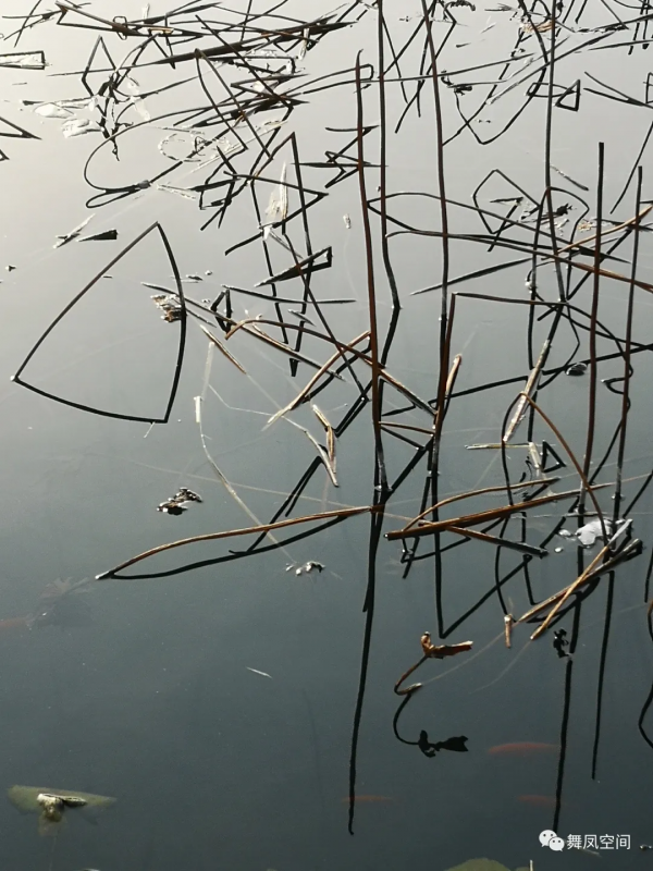 房山牛口峪溼地公園,沒想到風景如此優美 房山牛口峪溼地公園,沒想到風景如此優美