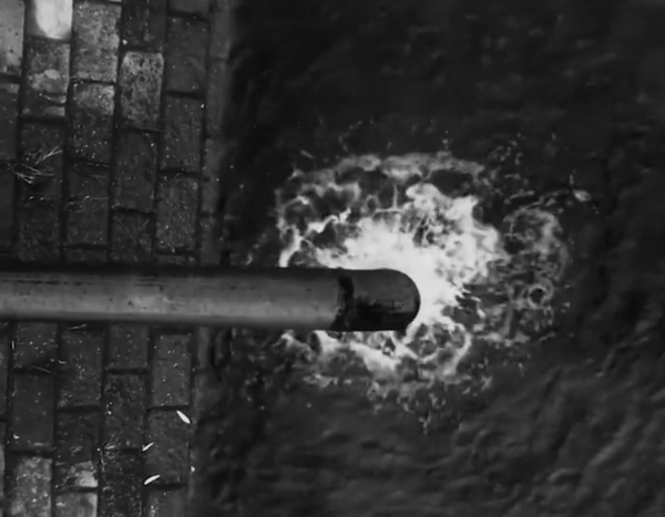 幾萬只貓排隊跳海自盡，連人類也不能倖免，喪屍真的存在嗎？