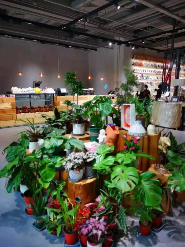 全國首批！海淀一地入選！