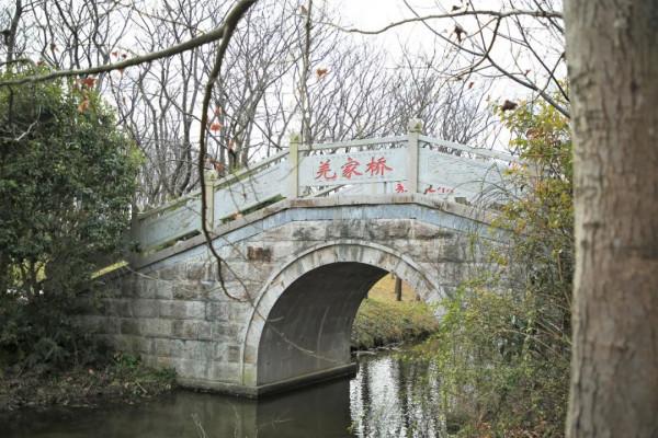 快瞧，橋！