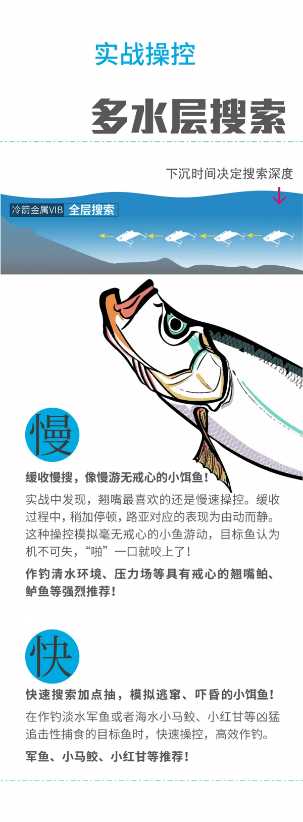 藍旗魚新品 |「冷箭」超投VIB上市，快速啟動，慢收就顫全水層