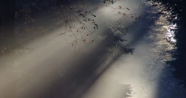 孩子睡覺害怕做噩夢 你該怎麼做？