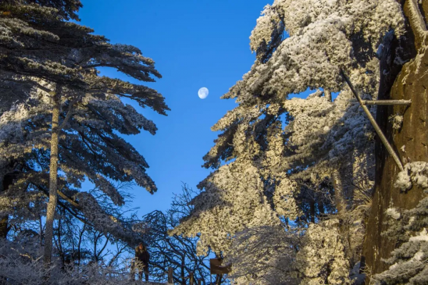 莊子:人唯孤獨,方能出眾 莊子:人唯孤獨,方能出眾