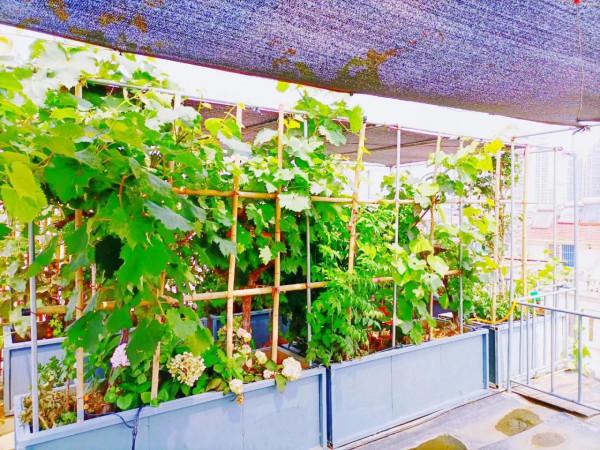 家中煩事(隨筆) 家中煩事(隨筆)