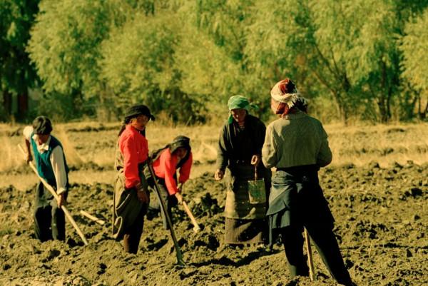 趙有強:西藏,西藏,20年念念不忘 趙有強:西藏,西藏,20年念念不忘