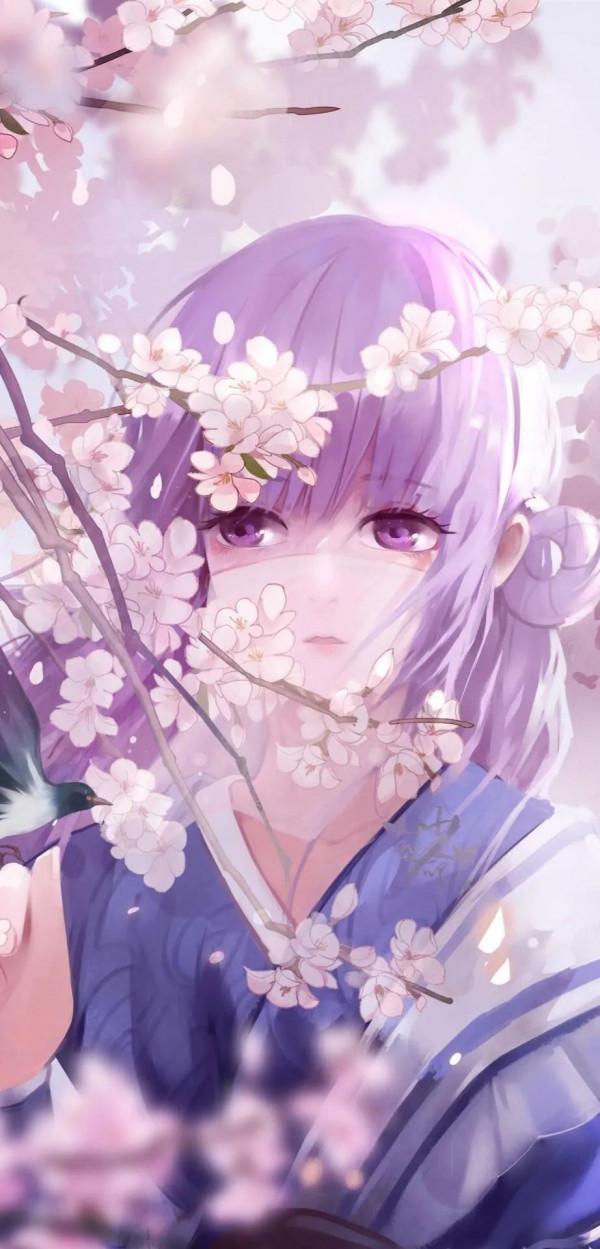 國漫《秦時明月》那麼多女性角色你感覺哪個最好看？