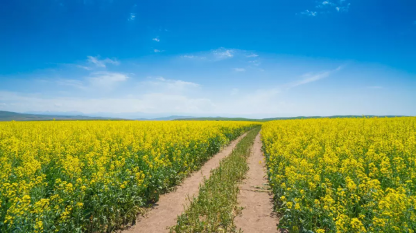 餘生想和你走遍這27個地方 餘生想和你走遍這27個地方