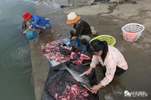 吳鍾飛：臘月漁鄉港北