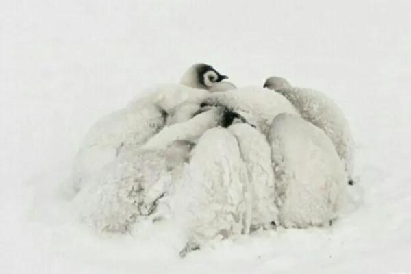 冬天雖冷,因為有你相擁而溫暖 冬天雖冷,因為有你相擁而溫暖