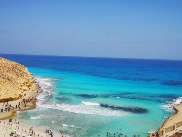 這一年，我們透過頭條看世界