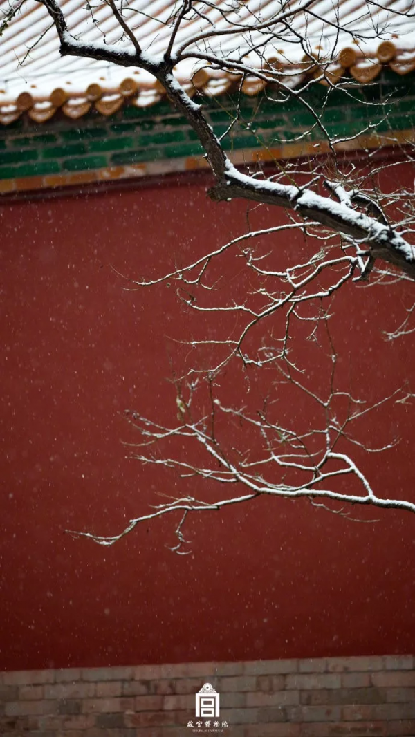 當故宮遇上今年第一場飄雪