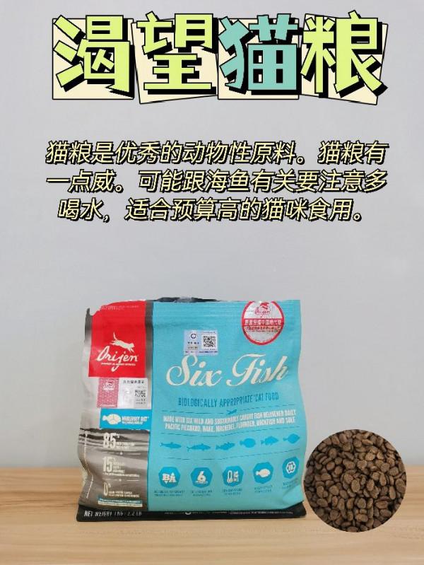別再給貓咪吃毒貓糧啦