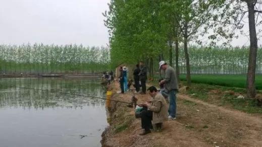 釣無止境，老釣魚人的獨門野釣技巧，簡單四招卻有大學問