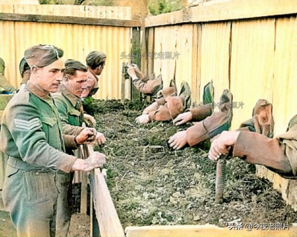 28張顛覆想象的老照片：落在德軍胸上的烏鴉，希特勒的純金城堡