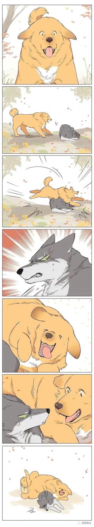 狼王撿了個小土豆：動物VS人形